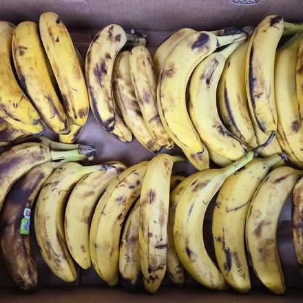 Photo of free Over Ripe Bananas (Chiquita Av MtnVw) #2
