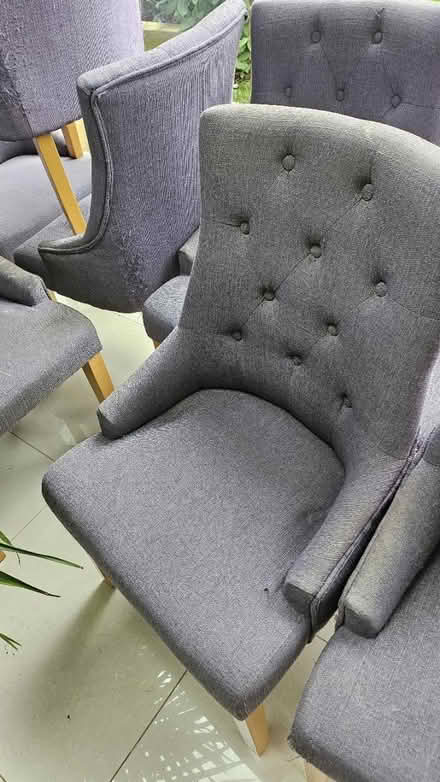 Photo of free 8 bucket dining chairs (Ham, Richmond) #1