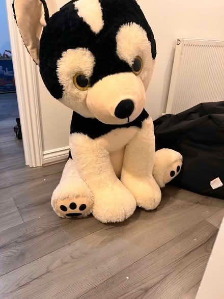 Photo of free Giant Husky Stuffed Animal (Garston, Liverpool) #1