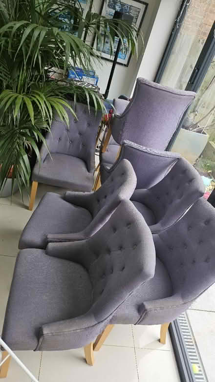 Photo of free 8 bucket dining chairs (Ham, Richmond) #2