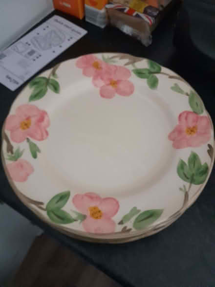 Photo of free Dinner Plates (Little Amwell SG13) #1