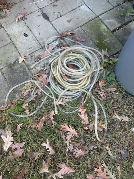 Photo of free rope light (Deerwood Rd & Deerwood Dr) #1