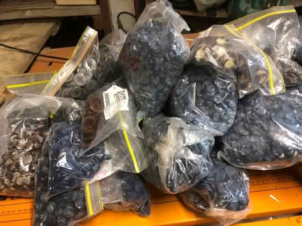 Photo of free Buttons (greensborough) #1