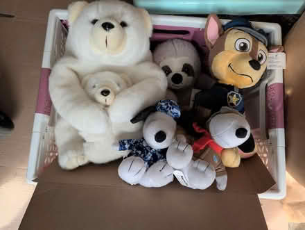 Photo of free stuffies take all (downtown sunnyvale) #1