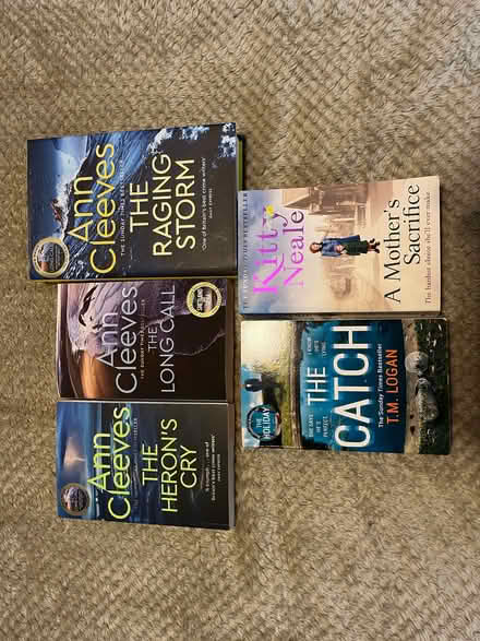 Photo of free A few novels (Bridgewood Gate ME5) #1