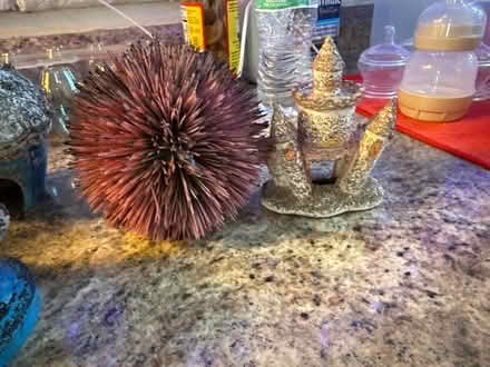 Photo of free Fish tank accessories (Suitland) #3