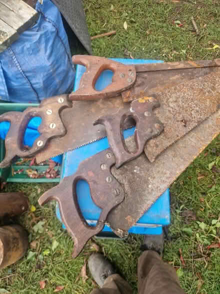 Photo of free Vintage Saws (SY11) #1