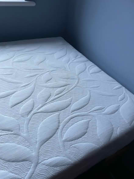 Photo of free Single Foam Mattress (Wivenhoe CO7 9NP) #2