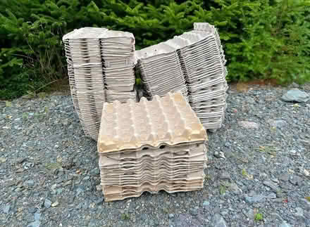 Photo of Egg Boxes or Trays (CV5) #1