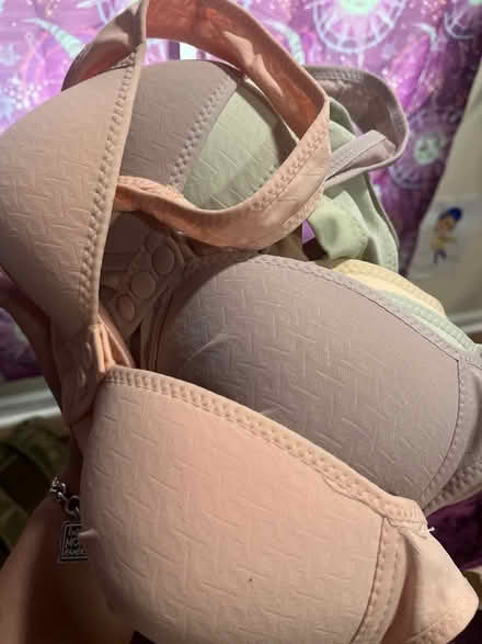 Photo of free Bras (Gulf gate) #1