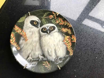 Photo of free Wedgewood baby owl plates (ME20 6rs) #1