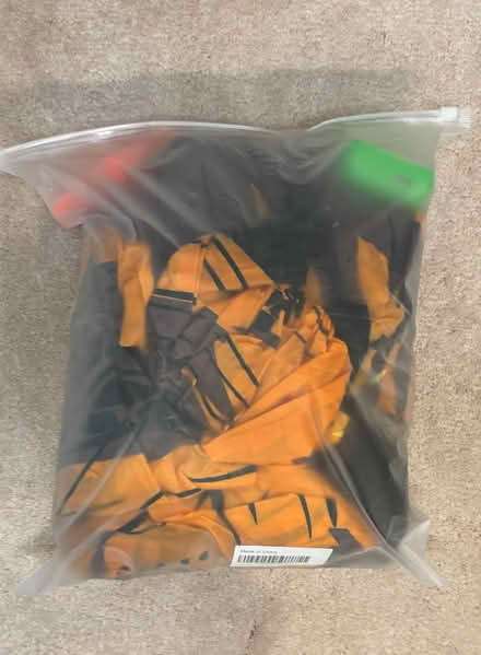 Photo of free Inflatable dinosaur Halloween cost (Parsippany, NJ) #1