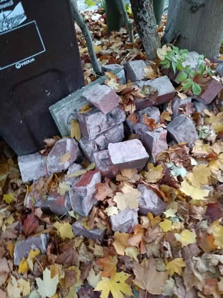 Photo of free Bricks (Norton Lees, S8) #1