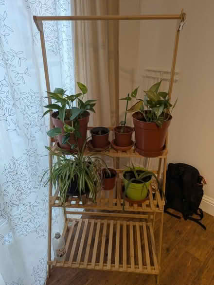 Photo of free Plants, tools and other stuff (CB4) #1