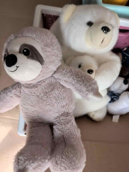 Photo of free stuffies take all (downtown sunnyvale) #3