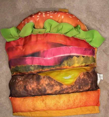 Photo of free Hamburger Halloween costume (Parsippany, NJ) #1