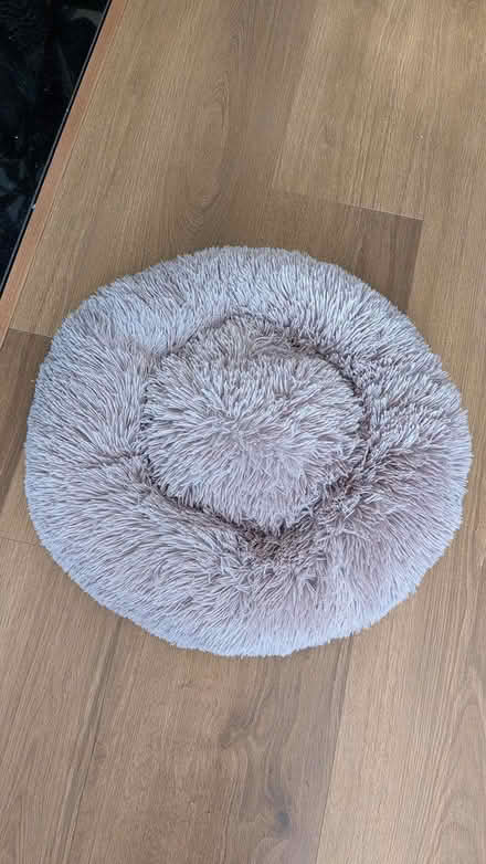 Photo of free Pet bed (Dublin 16, near Ballyboden Rd) #1