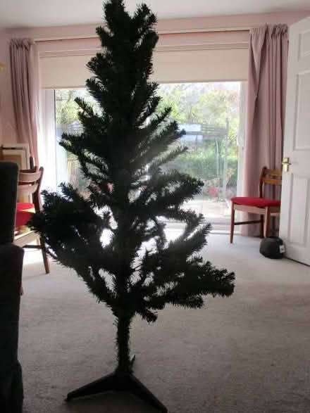 Photo of free Christmas tree (Innsworth GL3) #1