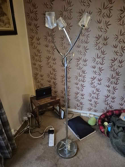 Photo of free Standard lamp (Earlham NR5) #1