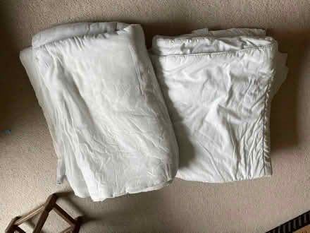 Photo of free Single duvets (Poringland NR14) #1
