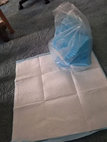 Photo of free puppy piddle pads 20874 #1