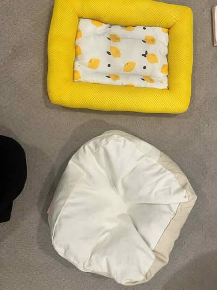 Photo of free Cat tree, cat/small dog mat/seat (near kings academy) #2