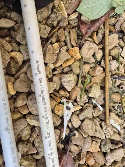 Photo of free 2 of 15mm x 1.5m Barrier Pipe (Holmer Green HP15) #2