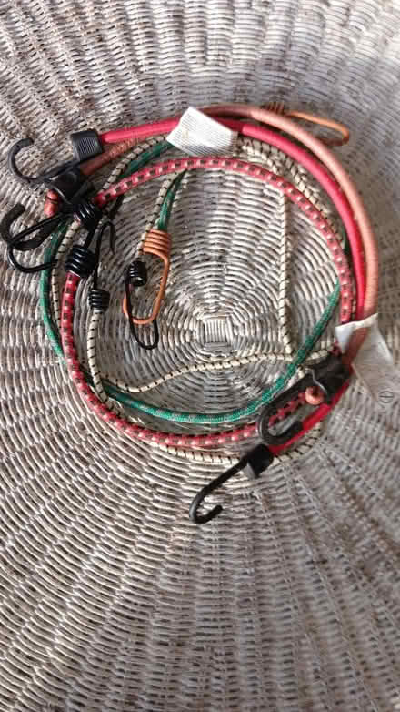 Photo of free Bungee cords (19095) #1