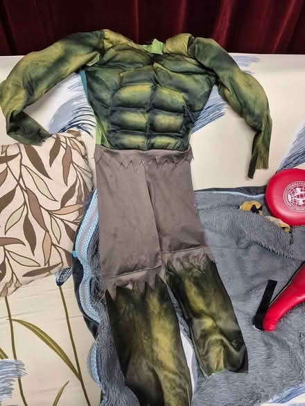 Photo of free Ninja Turtle costume for 5-7 years (Severna Park) #1