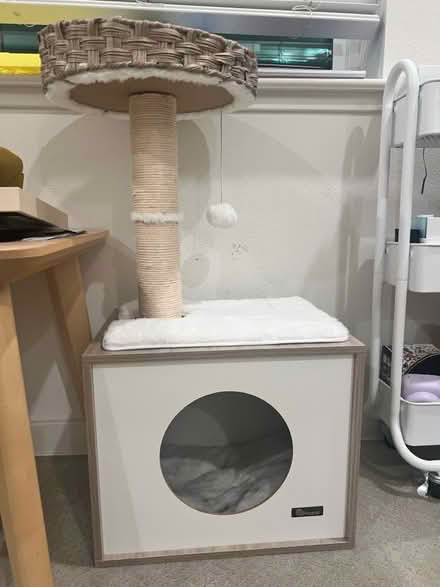 Photo of free Cat tree, cat/small dog mat/seat (near kings academy) #1