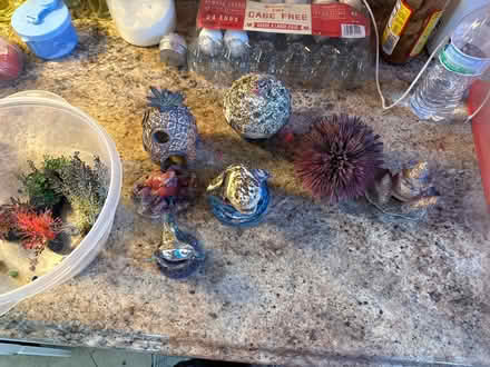 Photo of free Fish tank accessories (Suitland) #1