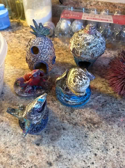 Photo of free Fish tank accessories (Suitland) #2