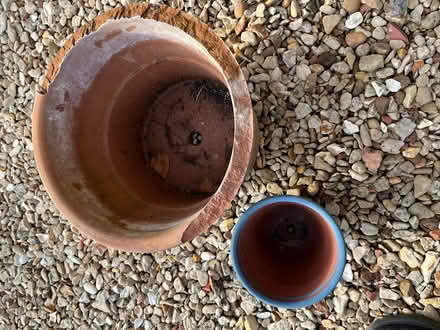 Photo of free Garden pots (Ox1 4ss) #3