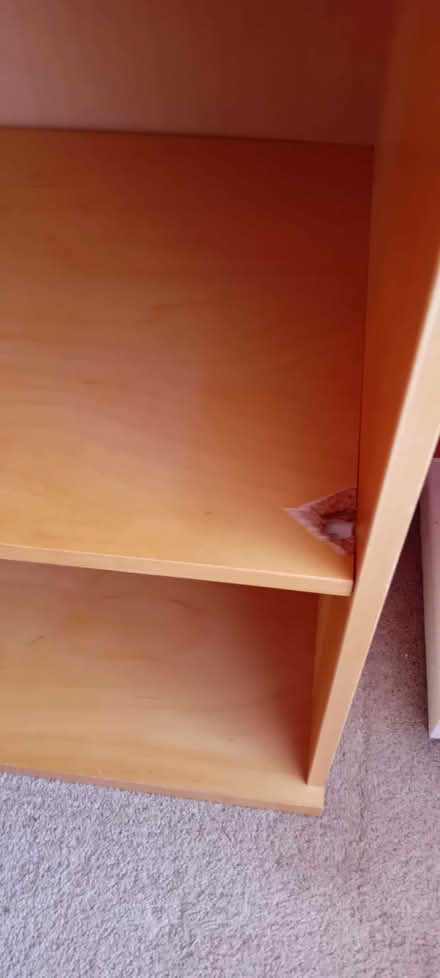 Photo of free Shelf unit (Cam GL11) #2