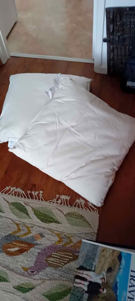 Photo of free Cushion insides (Cam GL11) #1