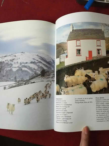 Photo of free Two books about Wales (Tottenham, off Philip Lane N17) #3