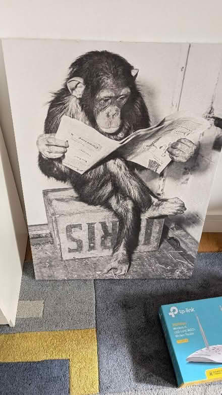 Photo of free Large canvas monkey (Ampthill MK45) #1