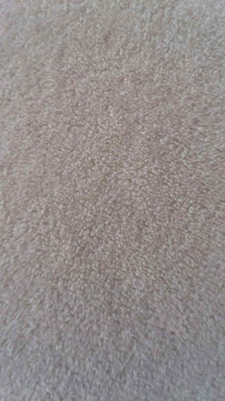 Photo of free Cream Carpet room size approx 5m x 5m (New Tupton S42) #2