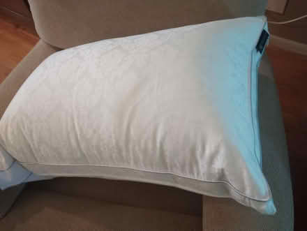 Photo of free chopsticks, pillow, womens vitamins (55th & Main) #4