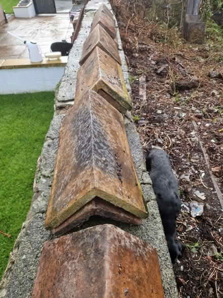 Photo of free Ridge Tiles (SY11) #3