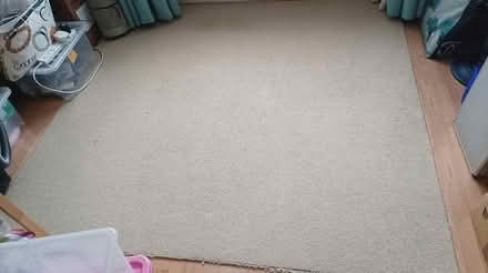 Photo of free Large piece of wool carpet (South reading RG2) #1