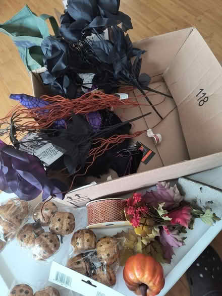 Photo of free fall/Halloween (Crestwood near Princeton Halls) #1