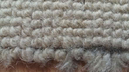 Photo of free Large piece of wool carpet (South reading RG2) #2