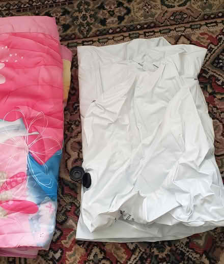 Photo of free Readybed, Disney Princess design (Lescudjack Penzance) #2