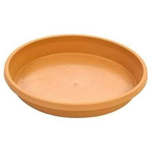 Photo of Plant saucers (Seven Dials BN1) #1