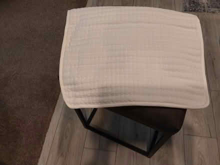 Photo of free 2 pillow shams (I94/Rawsonville Rd, Willis) #1
