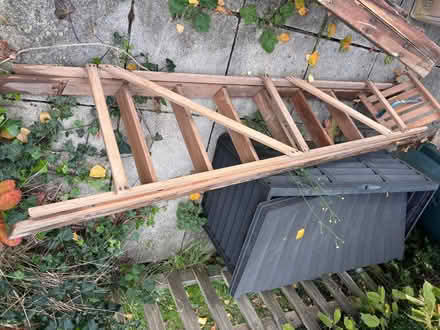 Photo of free Lots of ladders (N13 firs farm) #4