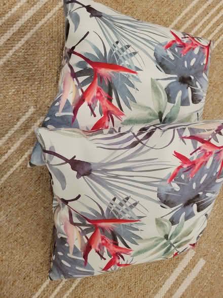 Photo of free Outdoor throw cushions (Montreal road and St Laurent) #1