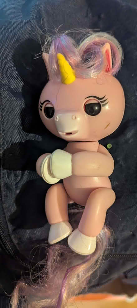 Photo of free Unicorn Fingerling (Clive Vale TN35) #1