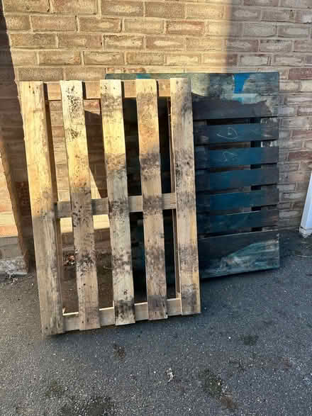 Photo of free Pallets (Bury PE26) #1